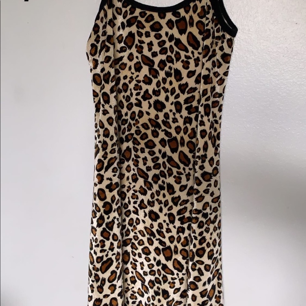 MINI CHEETAH